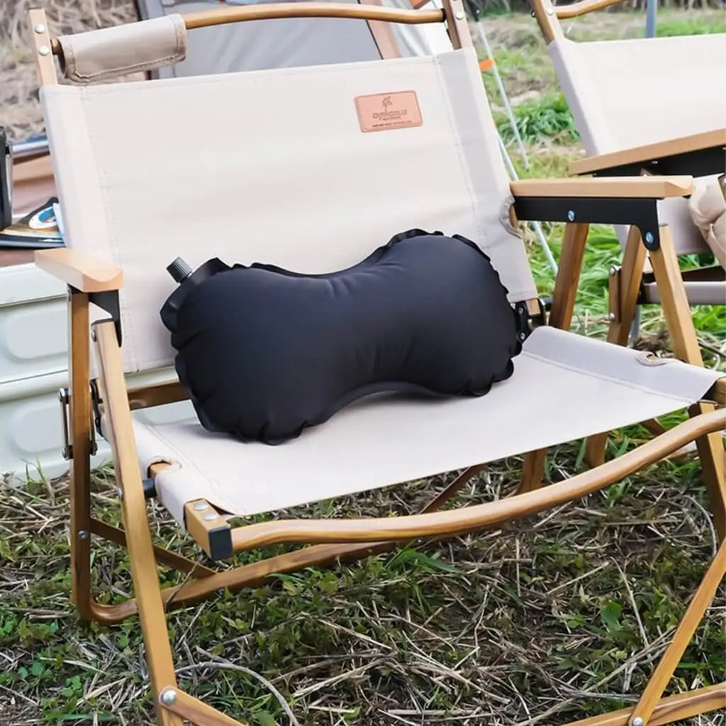 Travel Lumbar Cushion